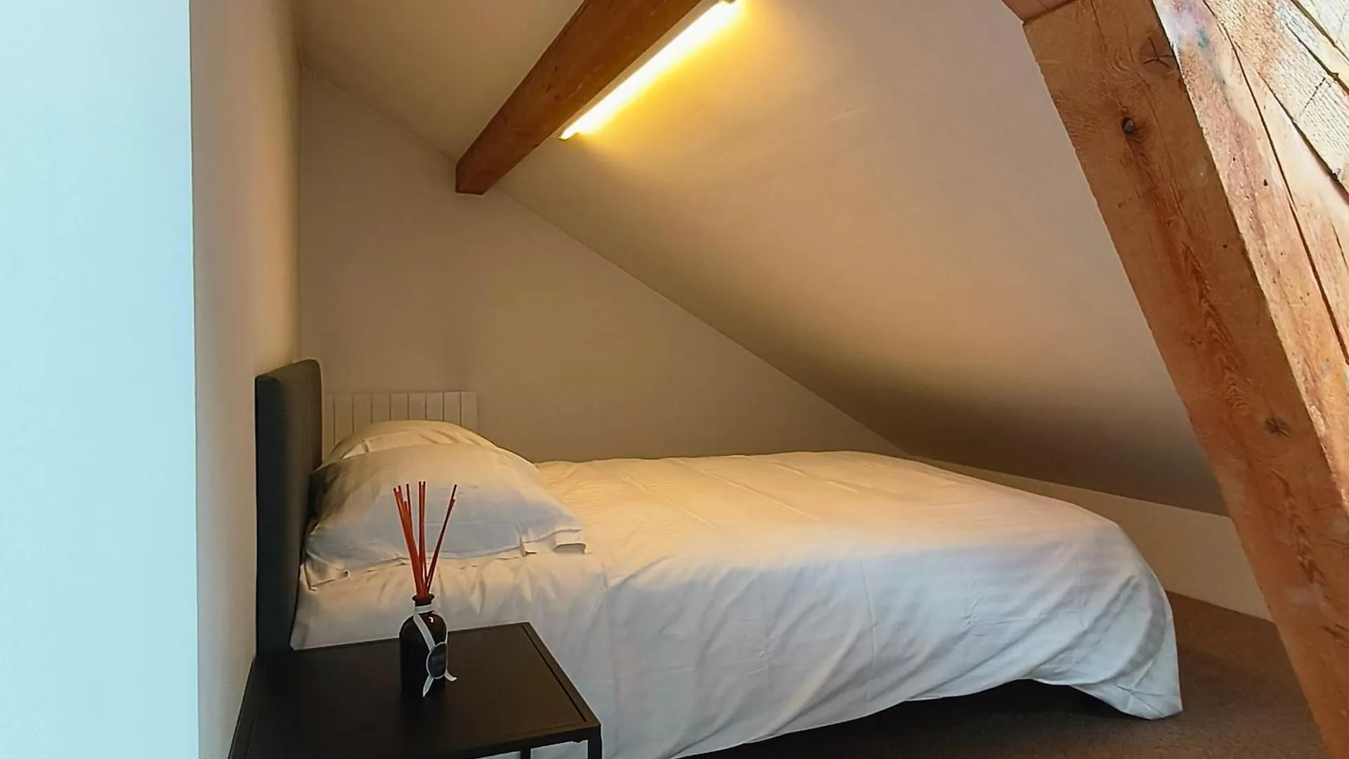 Maison De Charme Au Coeur De Geneve ! Villa 0*, Geneva