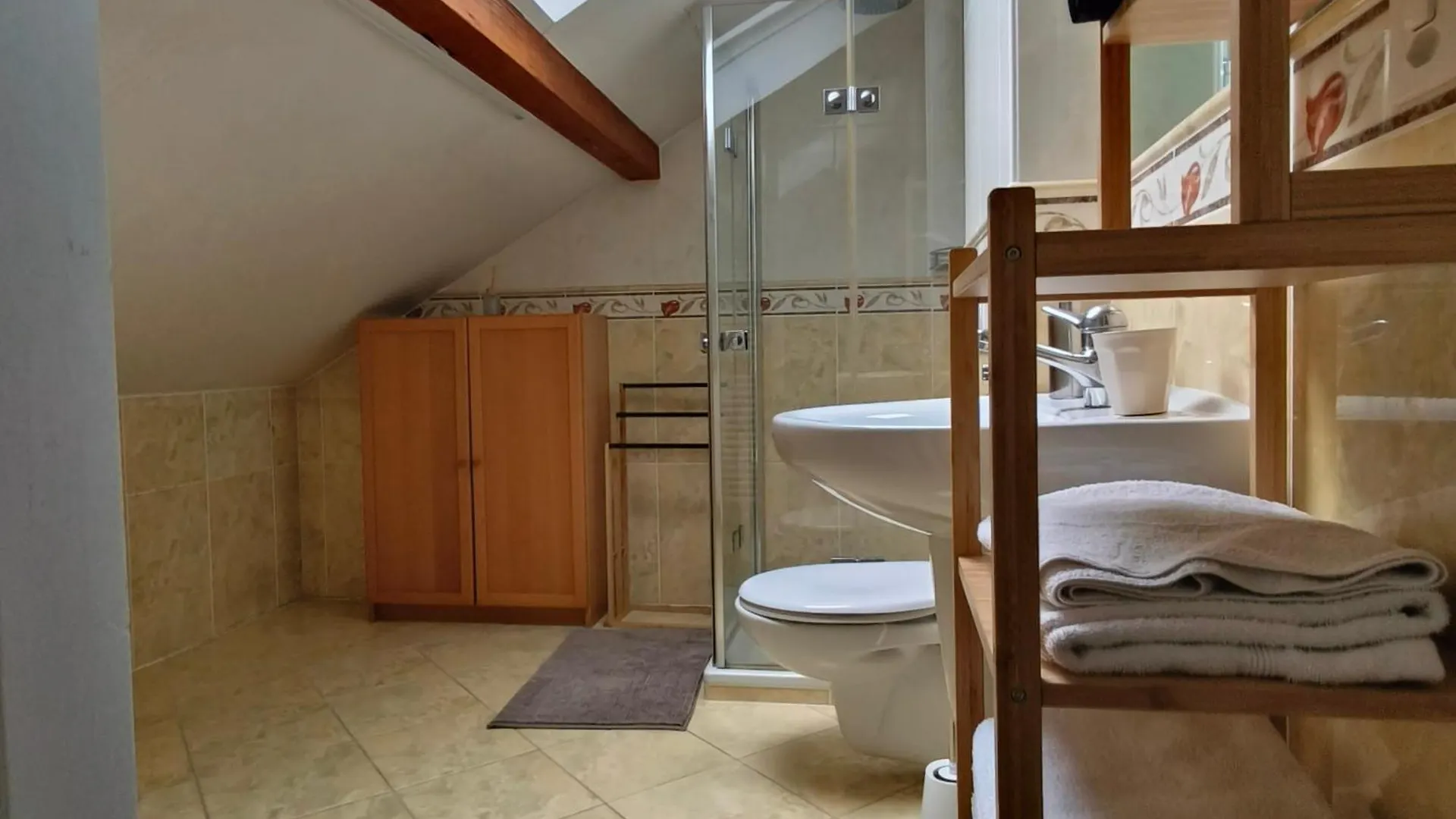 Maison De Charme Au Coeur De Geneve ! Villa